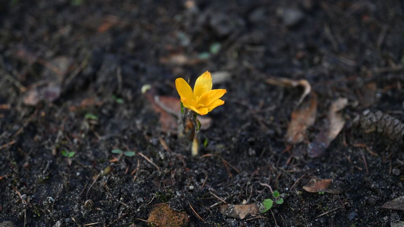 DWD: Berlin & Brandenburg Experience Dual Weather Pattern